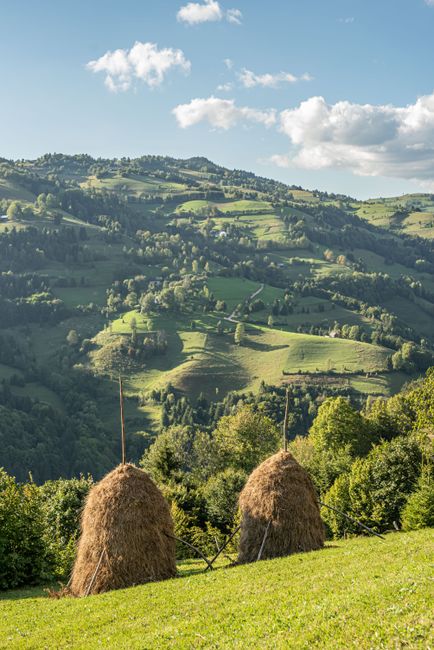Descoperă Transilvania: un colț de rai din România, dincolo de mitul lui Dracula