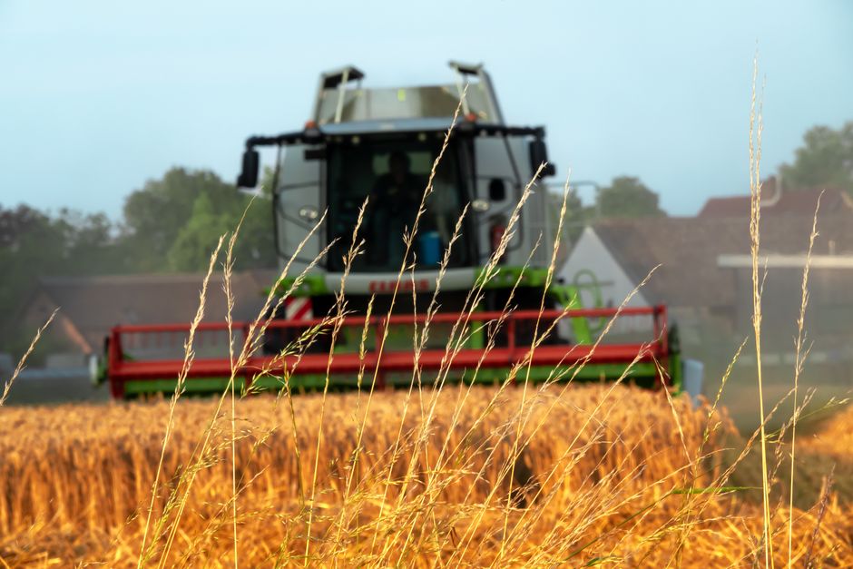 Descoperă noile provocări din Farming Simulator 25: expansiunea Beans and Alpacas