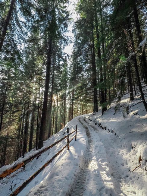 Traseele montane din Prahova, închise din cauza vremii nefavorabile