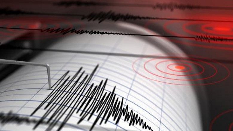 Cutremur de magnitudine 4,6 resimțit în zona seismică Vrancea