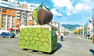 Bugetul pentru Sărbătoarea Castanelor se află pe agenda consilierilor din Baia Mare