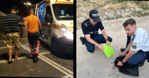Poveste emoționantă de solidaritate în Brașov: ajutor pentru oameni și pisici