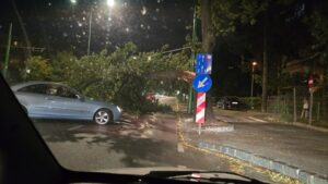 Incident pe Calea București: copac căzut peste o mașină în Brașov