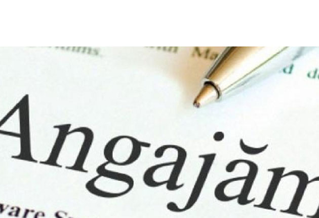 Oportunitate de angajare la școala din Stănești