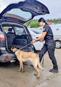 Acțiune a poliției în Țicău și Chelința: amenzi de peste 14.000 lei